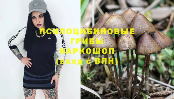 трава Верея