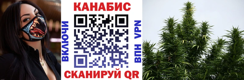 Каннабис индика Питкяранта